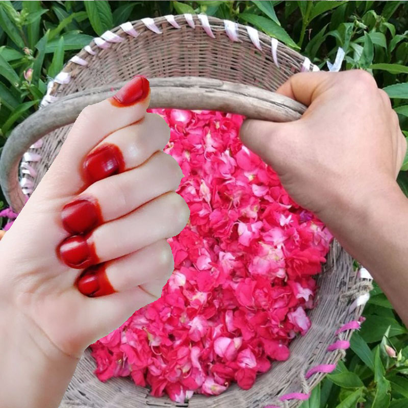 40g Henna Nail Dye Powder For  – обзор и цена Nail Art For Men